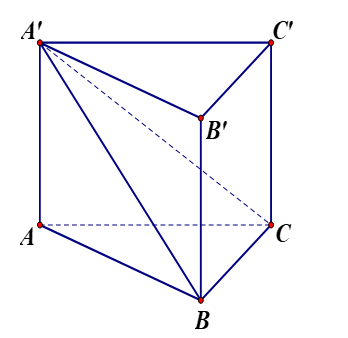 Mặt phẳng ( A'BC) chia khối lăng trụ ABCA'B'C' thành hai khối chóp: (ảnh 1)