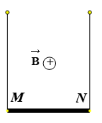 Một dây dẫn thẳng MN có chiều dài ℓ, khối lượng của một đơn vị chiều dài của dây là D = 0,04 kg/m. Dây được treo bằng hai dây nhẹ theo phương thẳng đứng và đặt trong từ trường đều có véctơ cảm ứng từ vuông góc với mặt phẳng chứa MN và dây treo với B = 0,04 T. Cho dòng điện I chạy qua dây. Để lực căng của dây treo bằng 0 thì chiều và độ lớn của I là (ảnh 1)