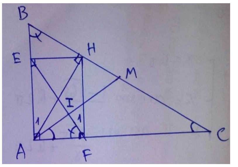 Cho tam giác ABC vuông tại A, đường cao AH. Gọi E, F lần lượt là chân đường (ảnh 1)