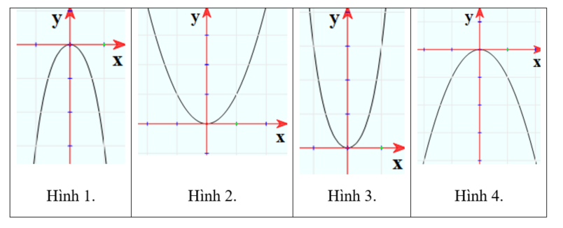 Đồ thị nào dưới đây là đồ thị của hàm số y=x^4+2x^2 ? (ảnh 1)