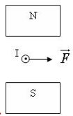 Trong các hình vẽ sau, hình nào chỉ đúng hướng của lực từ tác dụng lên dây dẫn chứa dòng điện? (ảnh 1)