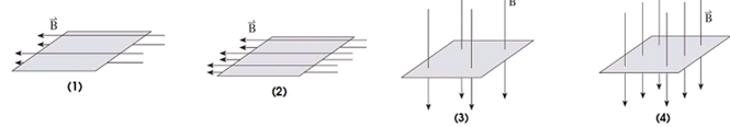 Trong hình vẽ nào sau đây, từ thông gửi qua diện tích của khung dây dẫn có giá trị lớn nhất ?  	A. 3 	B. 4 	C. 2 	D. 1 (ảnh 1)