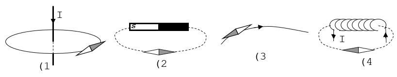 Hình nào sau đây biểu diễn đúng sự định hướng của kim nam châm nằm cân bằng trong từ trường? (ảnh 1)