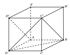 Khối lập phương ABCDA'B'C'D'có cạnh bằng a  Khi đó thể tích khối chóp DABC'D' bằng (ảnh 1)