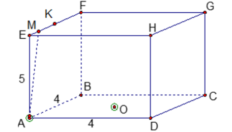 Một chiếc hộp hình hộp chữ nhật ABCD.FEGH, mặt trên EFGH không có nắp (xem hình bên). (ảnh 2)