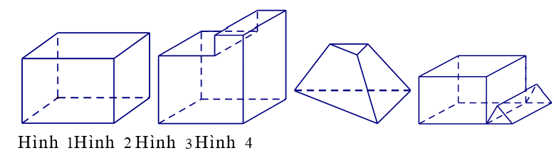 Mỗi hình sau gồm một số hữu hạn đa giác phẳng, tìm hình không là hình đa diện. (ảnh 1)