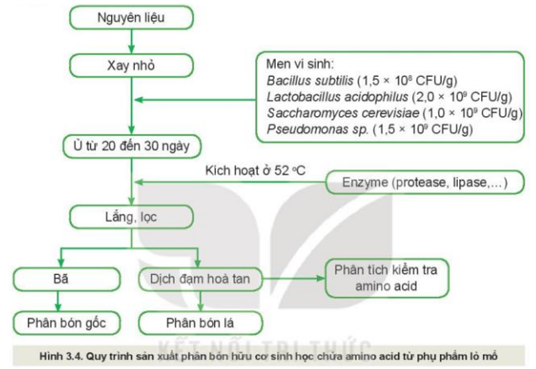 Quan sát Hình 3.4 và mô tả quy trình sản xuất phân bón hữu cơ sinh học chứa amino acid từ phụ phẩm lò mổ.   (ảnh 1)