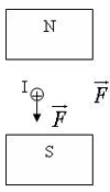 Trong các hình vẽ sau, hình nào chỉ đúng hướng của lực từ tác dụng lên dây dẫn chứa dòng điện? (ảnh 2)