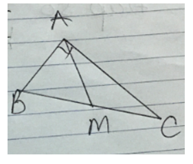 cho tam giác ABC vuông tại A gọi M là trung điểm BC biết BC =13 tính AM (ảnh 1)