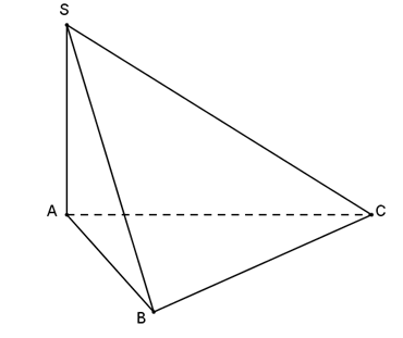 Cho hình chóp SABC có đáy ABC là tam giác vuông tại B biết AB=a, AC=2a , SA vuông góc ( ABC)  và SA= a căn 3. Thể tích khối chóp SABC là: (ảnh 1)