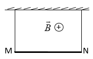 Một đoạn dây dẫn MN có khối lượng m = 5g, dài 50cm được treo nằm ngang bởi hai sợi dây nhẹ rồi đặt trong một từ trường đều có cảm ứng từ B = 0,05T, chiều như hình vẽ. Để lực căng hai dây treo bằng 0 thì dòng điện chạy qua dây MN có cường độ và chiều là: (g=10  ) 	A. I = 0,2A, chiều từ M đến N 	B. I = 0,2A, chiều từ N đến M 	C. I = 2A, chiều từ M đến N 	D. I = 2A, chiều từ N đến M (ảnh 1)