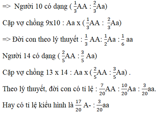 Ở người, bệnh bạch tạng do alen lặn a nằm trên NST thường quy định, alen trội tương ứng A quy định da bình thường (ảnh 2)