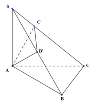 Cho hình chóp S.ABC có SA vuông góc (ABC), tam giác ABc vuông tại B. Biết SA = a, AB = b (ảnh 2)