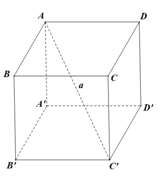 Tính theo a thể tích V của khối lập phương ABCD.A'B'C'D'  biết  AC'=a (ảnh 1)