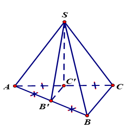 Cho khối chóp SABC  có thể tích  V. Gọi  B', C' lần lượt là trung điểm của AB, AC . Tính theo V  thể tích khối chóp SAB'C' . (ảnh 1)