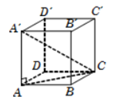 Tính thể tích V  của khối lập phương ABCDA'B'C''D biết CA' = acăn 3 (ảnh 1)