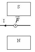 Trong các hình vẽ sau, hình nào chỉ đúng hướng của lực từ tác dụng lên dây dẫn chứa dòng điện? (ảnh 4)