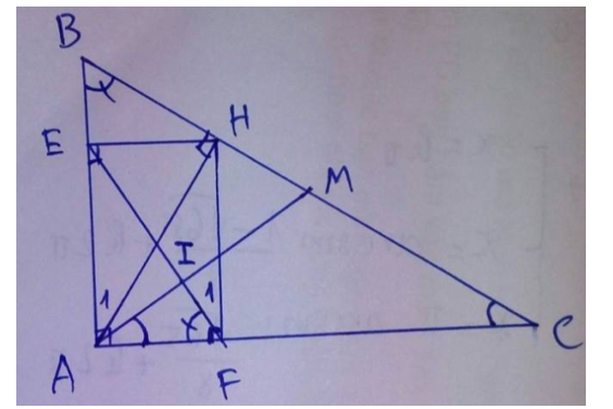 Cho tam giác ABC vuông tại A, đường cao AH. Gọi E, F lần lượt là chân đường vuông góc hạ từ H xuống AB và AC (ảnh 1)