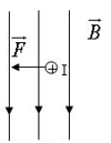 Trong các hình sau, hình nào chỉ đúng hướng của lực từ tác dụng lên dây dẫn có dòng điện đặt trong từ trường? (ảnh 2)