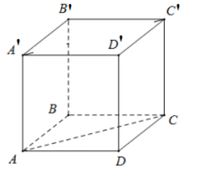 Thể tích V của khối lập phương ABCD.A’B’C’D’ biết AC = 2a là A. 8x^3 / 3 căn bậc hai 3 (ảnh 1)