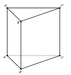 Hình lăng trụ tam giác có tất cả bao nhiêu mặt? (ảnh 1)