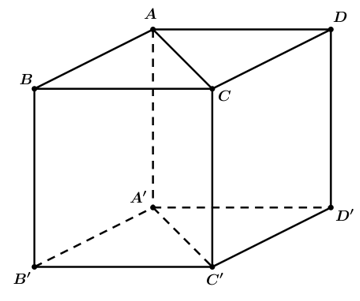 Cho khối lập phương ABCDA'B'C'D' có thể tích V. Tính thể tích V1  của khối lăng trụ ABCA'B'C'  là (ảnh 1)