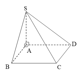Cho hình chóp  SABCD có SA vuông góc ( ABCD), đáy  ABCD là hình chữ nhật. Tính thể tích  SABCD biết AB=a, AD=2a , SA=3a. (ảnh 1)