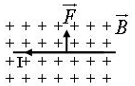Trong các hình sau, hình nào chỉ đúng hướng của lực từ tác dụng lên dây dẫn có dòng điện đặt trong từ trường? (ảnh 4)