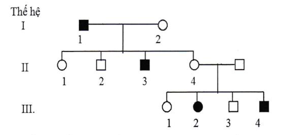 Cho phả hệ sau, trong đó alen gây bệnh (kí hiệu là a) là lặn so với alen bình thường (A) (ảnh 1)