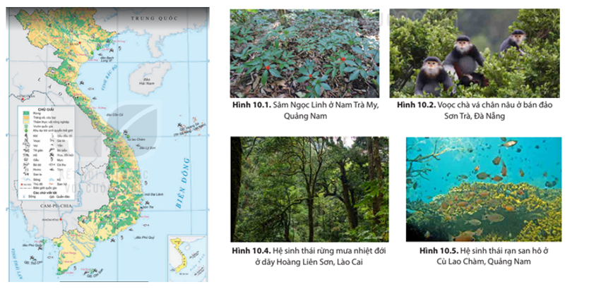 Dựa vào thông tin các hình ảnh trong mục 1, hãy chứng minh sự đa dạng của sinh vật ở Việt Nam.  (ảnh 1)