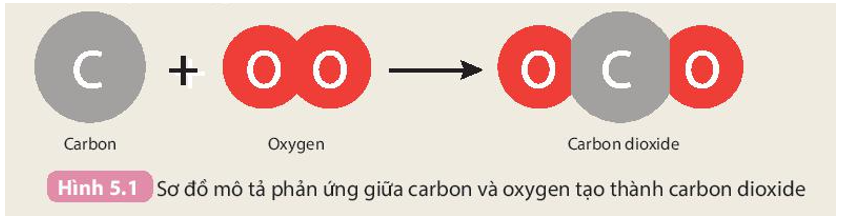 Carbon tác dụng với oxygen theo sơ đồ Hình 5.1:   Giải thích tại sao khối lượng carbon dioxide bằng tổng khối lượng carbon và oxygen. (ảnh 1)