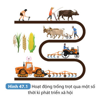 Đọc các thông tin trên và quan sát Hình 47.1, thảo luận để thực hiện các yêu cầu sau: 1. Trình bày tác động của hoạt động trồng trọt đến môi trường qua các thời kì phát triển xã hội.    (ảnh 1)