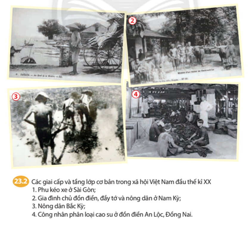 Tư liệu 23.2 phản ánh mâu thuẫn cơ bản nào trong xã hội Việt Nam đầu thế kỉ XX (ảnh 1)