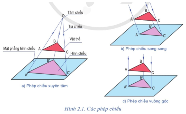 Tia Chiếu Là Gì Trong Công Nghệ 8: Giới Thiệu Và Ứng Dụng