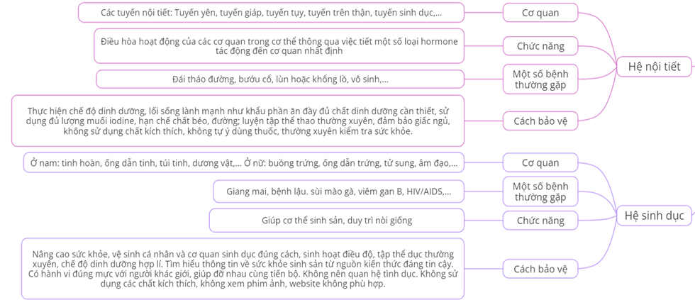 Nêu các cơ quan, chức năng, một số bệnh thường gặp và cách bảo vệ các hệ cơ quan trong cơ thể người theo gợi ý dưới đây: (ảnh 5)