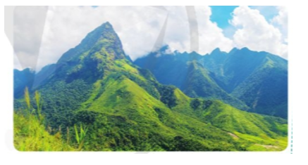 Em hãy cho biết đỉnh núi nào cao nhất nước ta. Đình núi đó thuộc vùng nào của Việt Nam? (ảnh 1)