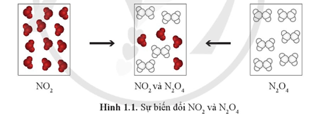 Khí NO2 (màu nâu đỏ) liên tục chuyển thành khí N2O4 (không màu) và ngược lại (ảnh 1)