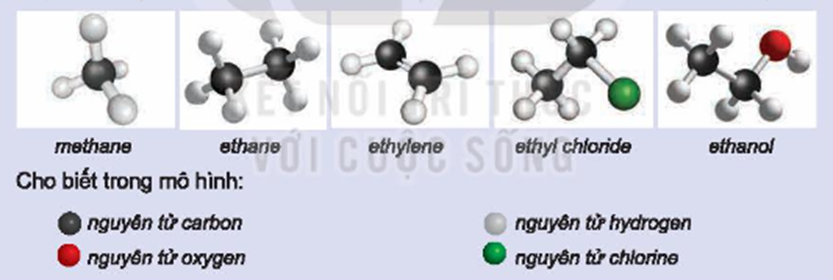 Hãy viết công thức phân tử của các hợp chất hữu cơ có mô hình cho dưới đây: (ảnh 1)