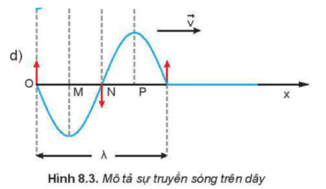 Trong đồ thị của sóng Hình 8.3d, các điểm nào trong các điểm M, N, P trên phương Ox dao động lệch pha  , ngược pha, đồng pha với nhau?   (ảnh 1)