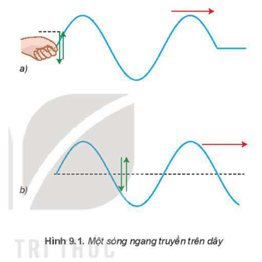 Hình 9.1 mô tả một sóng ngang truyền trên dây đàn hồi. Hãy quan sát các mũi tên, từ đó chỉ ra phương dao động của các phần tử của dây và phương truyền sóng.   (ảnh 1)