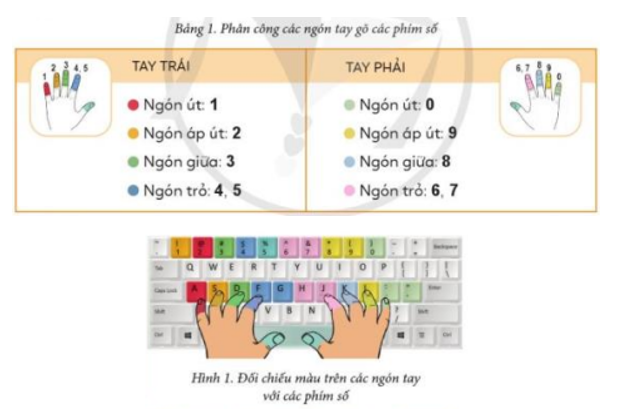 Em đọc bảng phân công các ngón tay gõ các phím như ở Bảng 1. Em xác định trong Hình 1 có những phím nào được tô màu không khớp với màu trên ngón tay được phân công tương ứng.   (ảnh 1)