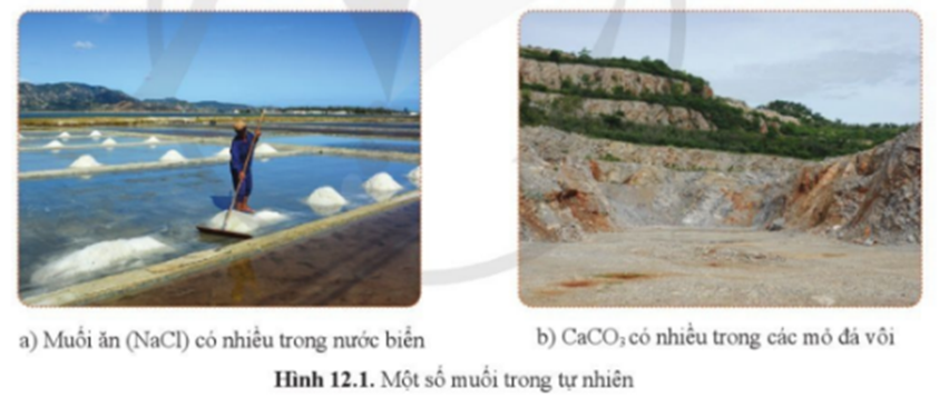 Muối là loại hợp chất có nhiều trong tự nhiên, trong nước biển, trong đất, trong các mỏ (hình 12.1). Vậy muối là gì?  (ảnh 1)