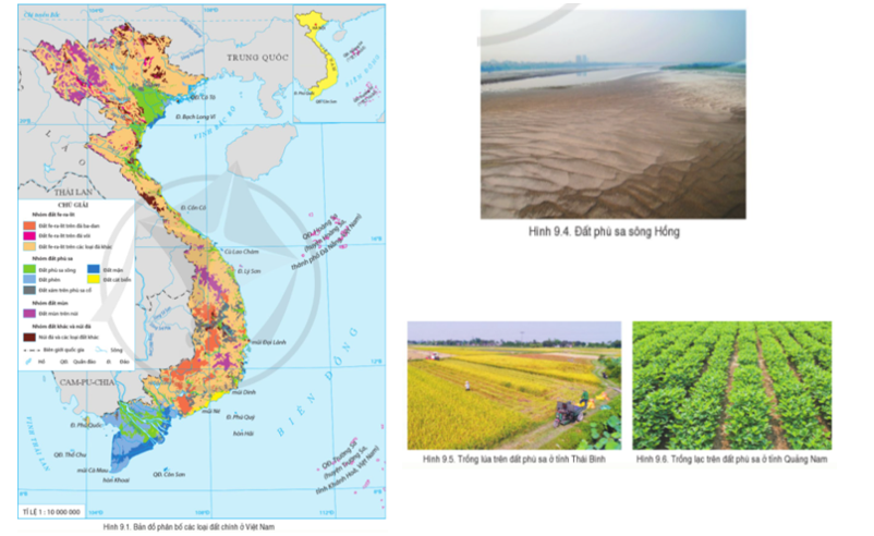 Đọc thông tin và quan sát hình 9.1, các hình từ 9.4 đến 9.6, hãy trình bày đặc điểm sự phân bố và giá trị sử dụng của đất phù sa trong sản xuất nông nghiệp,  (ảnh 1)