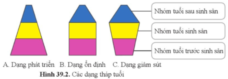 Quan sát hình 39.2 và cho biết vì sao A là dạng phát triển, B là dạng ổn định và C là dạng giảm sút. (ảnh 1)