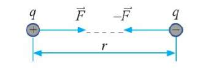 Hãy biểu diễn bằng hình vẽ lực tương tác giữa hai điện tích trái dấu nhau. (ảnh 1)