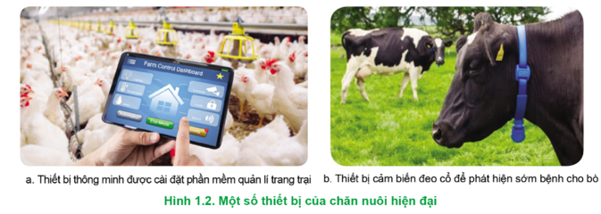 Hãy phân tích lợi ích của các thiết bị chăn nuôi hiện đại trong Hình 1.2 (ảnh 1)