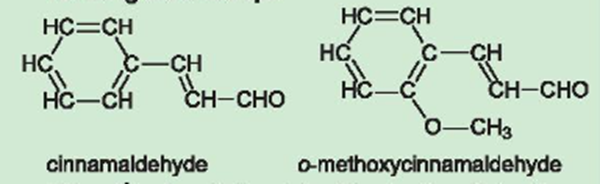 Khi nghiên cứu thành phần hoá học của tinh dầu quế, người ta thu được nhiều hợp chất hữu cơ trong đó có cinnamaldehyde và o – methoxycinnamaldehyde với công thức cấu tạo: (ảnh 1)
