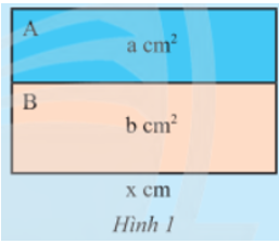 Một hình chữ nhật lớn được ghép bởi hai hình chữ nhật A và B lần lượt có diện tích là a cm2, b cm2 và có cùng chiều dài x cm (Hình 1).   (ảnh 1)