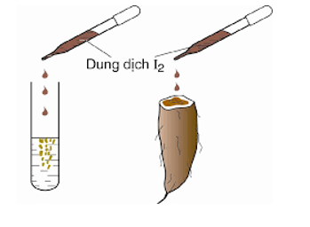 Tiến hành thí nghiệm như hình vẽ: nhỏ vài giọt dung dịch I2 loãng vào ống nghiệm đựng dung dịch (ảnh 1)