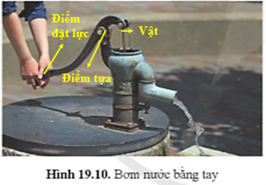 Chỉ ra bộ phận đóng vai trò đòn bẩy ở hình 19.10.   (ảnh 2)